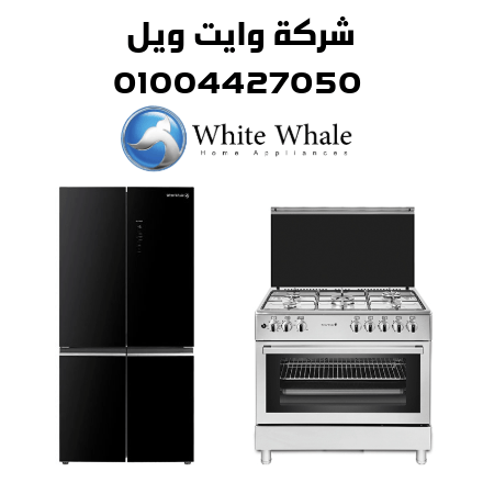 شركة وايت ويل